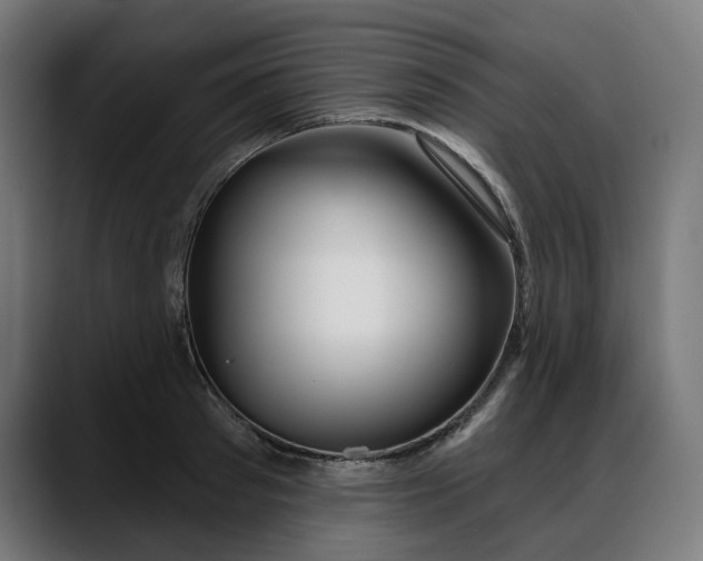 X0000088040897200705251259