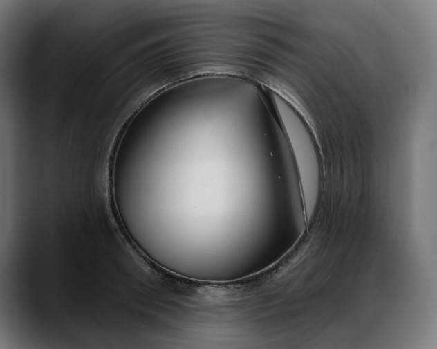 X0000088040898200705251259