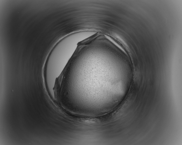 X0000088040899200705251259