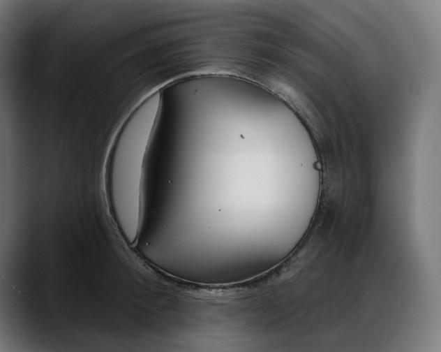 X0000088040900200705251259