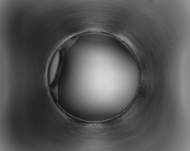 X0000088040902200705251259