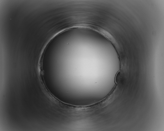 X0000088040908200705251259