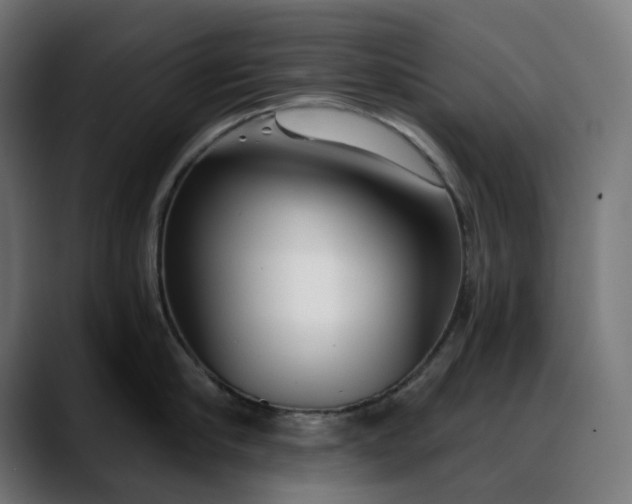 X0000088040910200705251259