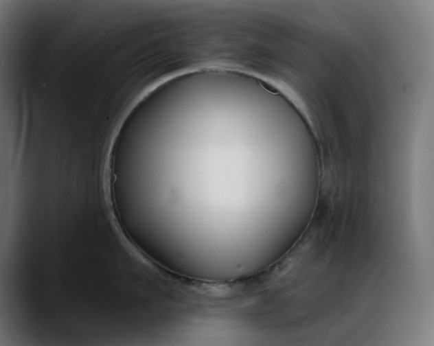 X0000088040911200705251259