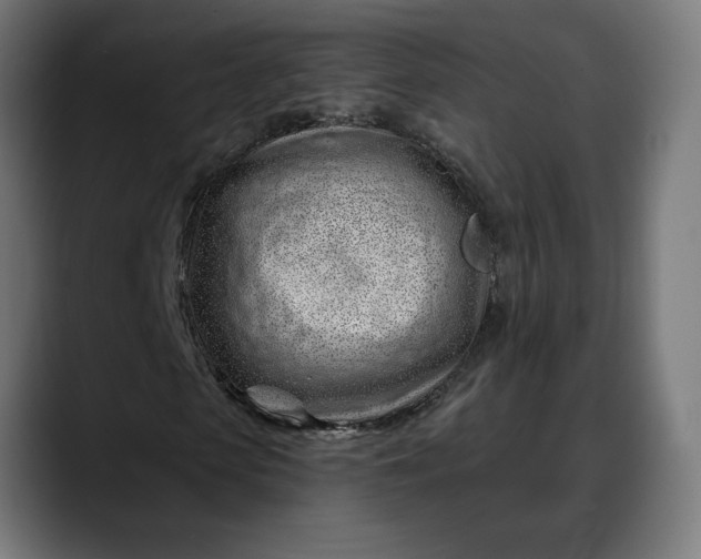 X0000088040913200705251258