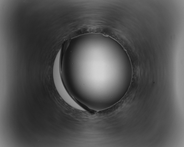 X0000088040914200705251258