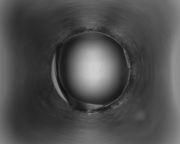 X0000088040916200705251258