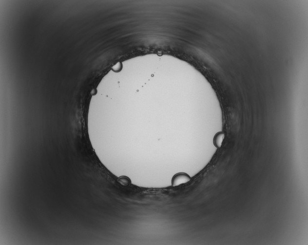X0000088040918200705251259