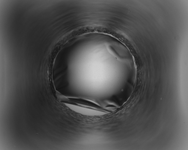 X0000088040919200705251259