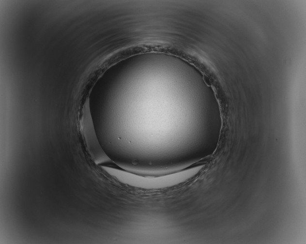 X0000088040920200705251259