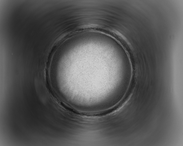 X0000088040921200705251259