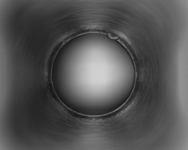 X0000088040922200705251259
