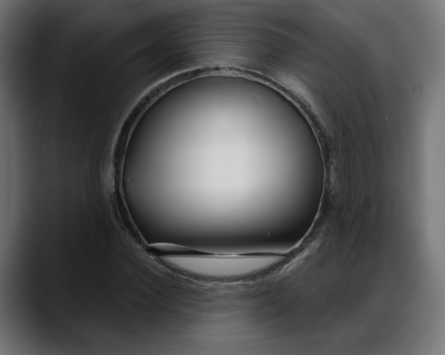 X0000088040924200705251259