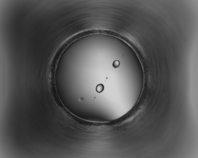 X0000088040926200705251259