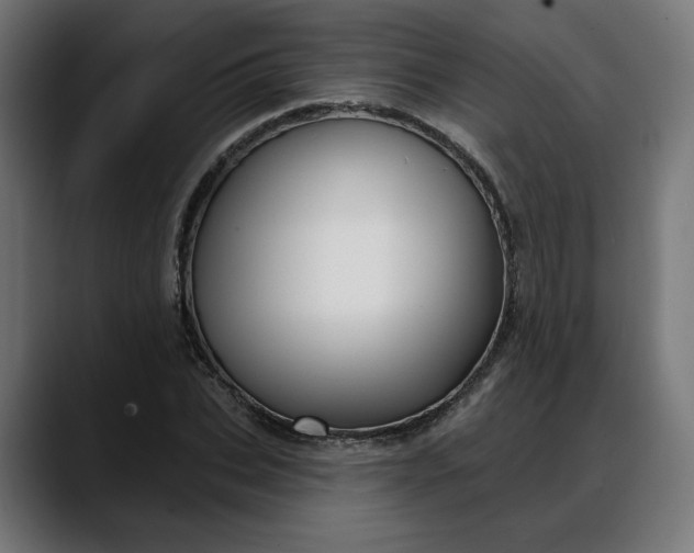 X0000088040927200705251259