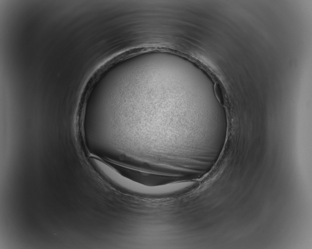 X0000088040928200705251259