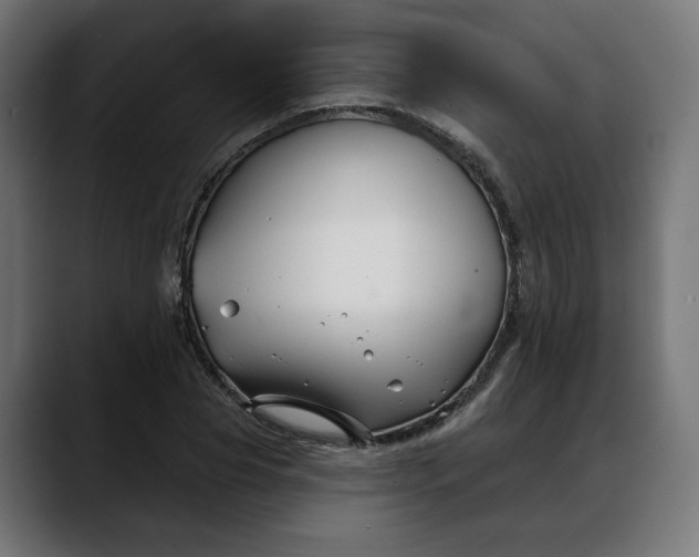 X0000088040929200705251259