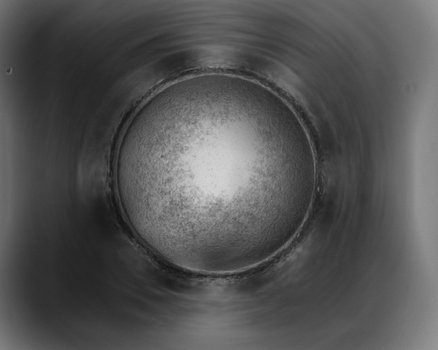 X0000088040930200705251259