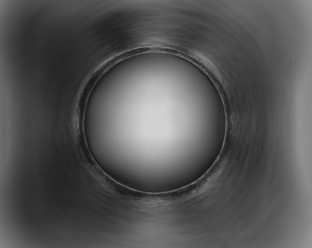X0000088040931200705251259