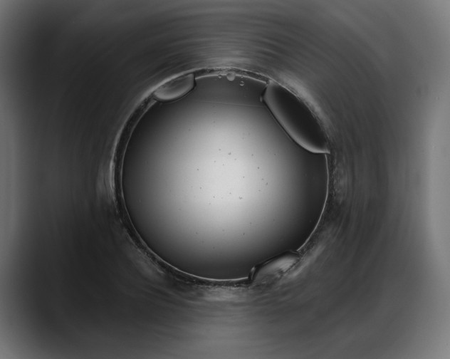 X0000088040932200705251259