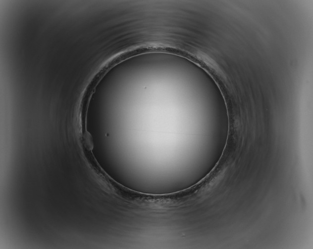 X0000088040934200705251259