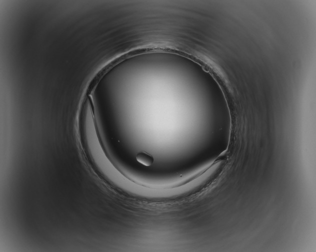 X0000088040936200705251259