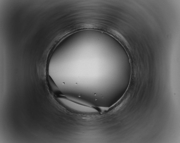 X0000088040938200705251259