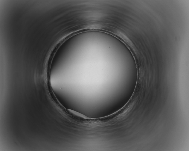 X0000088040939200705251259