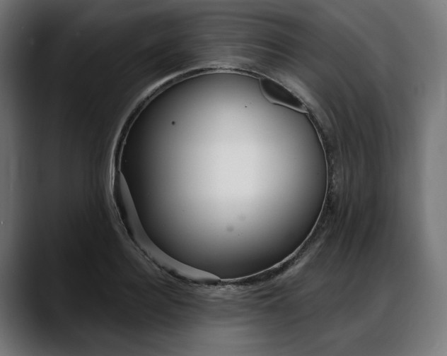 X0000088040940200705251259