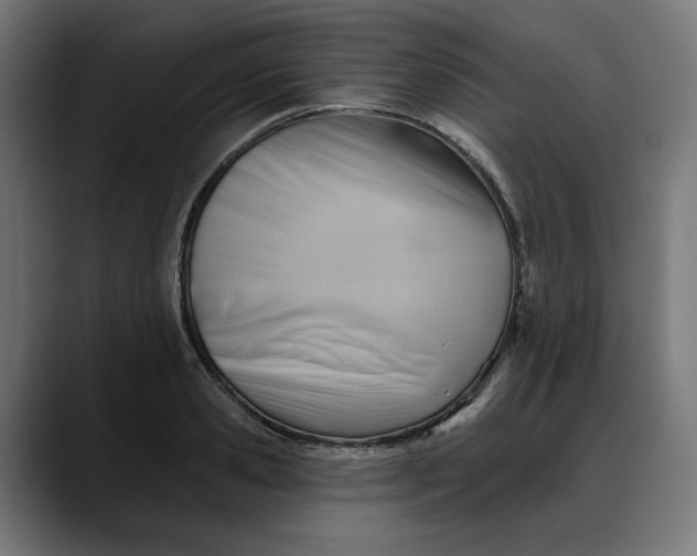 X0000088040941200705251259