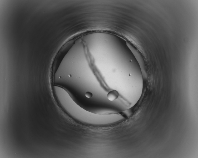 X0000088040942200705251259