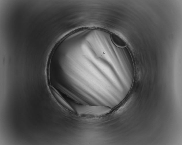 X0000088040943200705251259