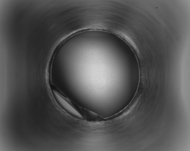 X0000088040944200705251259