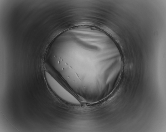 X0000088040945200705251259