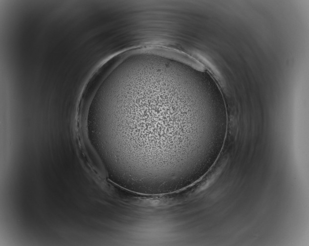 X0000088040948200705251259