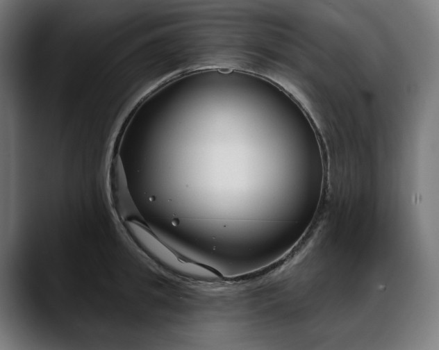 X0000088040949200705251259
