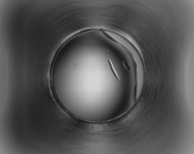 X0000088040951200705251259