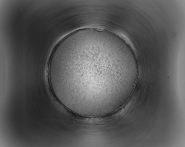 X0000088040952200705251259