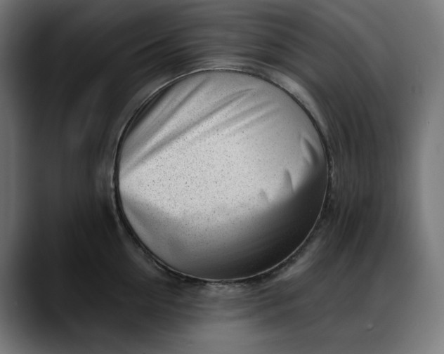 X0000088040954200705251259