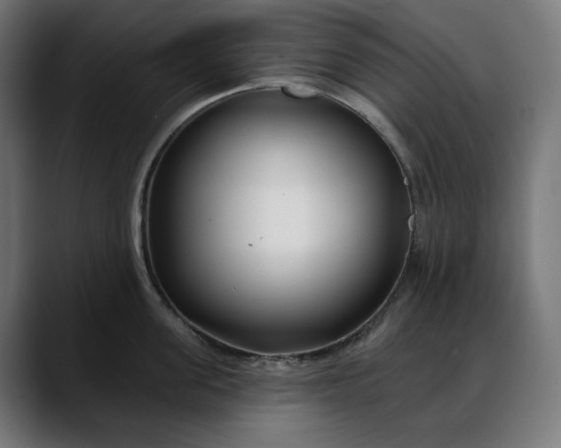 X0000088040955200705251259