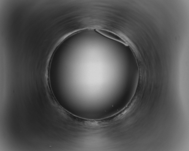 X0000088040956200705251259