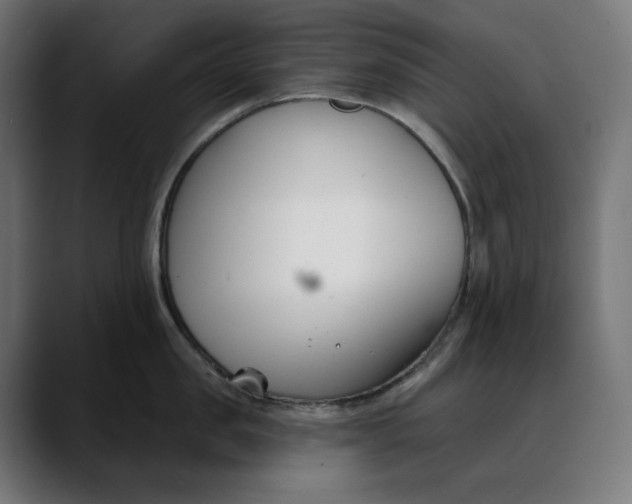 X0000088040957200705251259