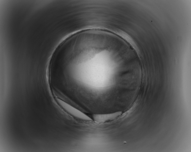 X0000088040958200705251259