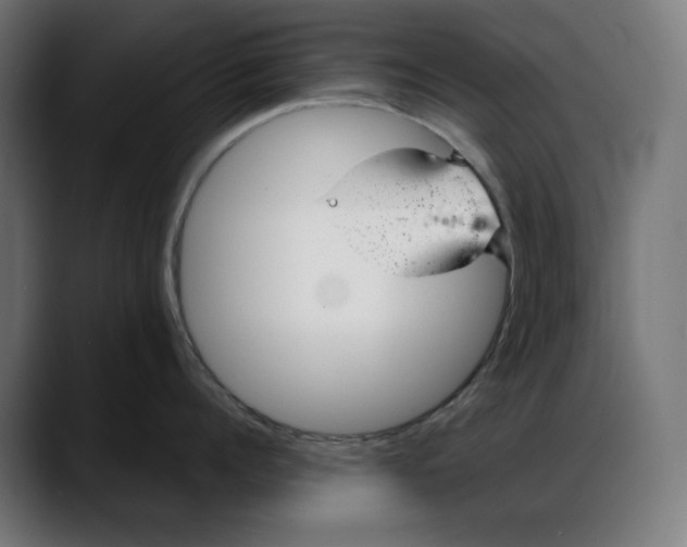X0000088040960200705251259