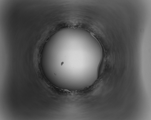 X0000088040961200705251258