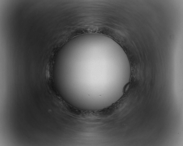 X0000088040962200705251258