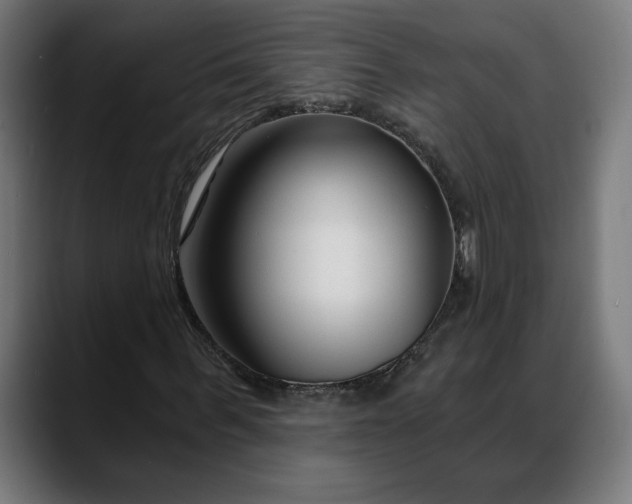 X0000088040963200705251258