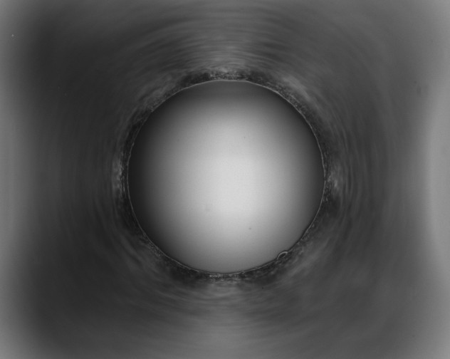 X0000088040964200705251258
