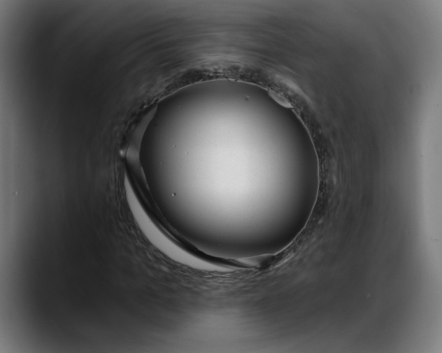 X0000088040965200705251258
