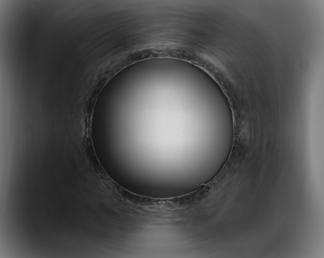 X0000088040966200705251258
